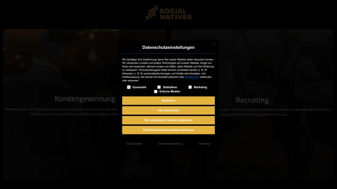 Social Natives Website